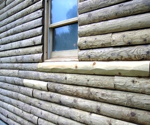 LogDoctors Log Home Restoration Examples